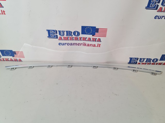 Lower Molding